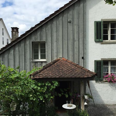 Airport Zuerich Elwiras B & B Lufingen Kültér fotó