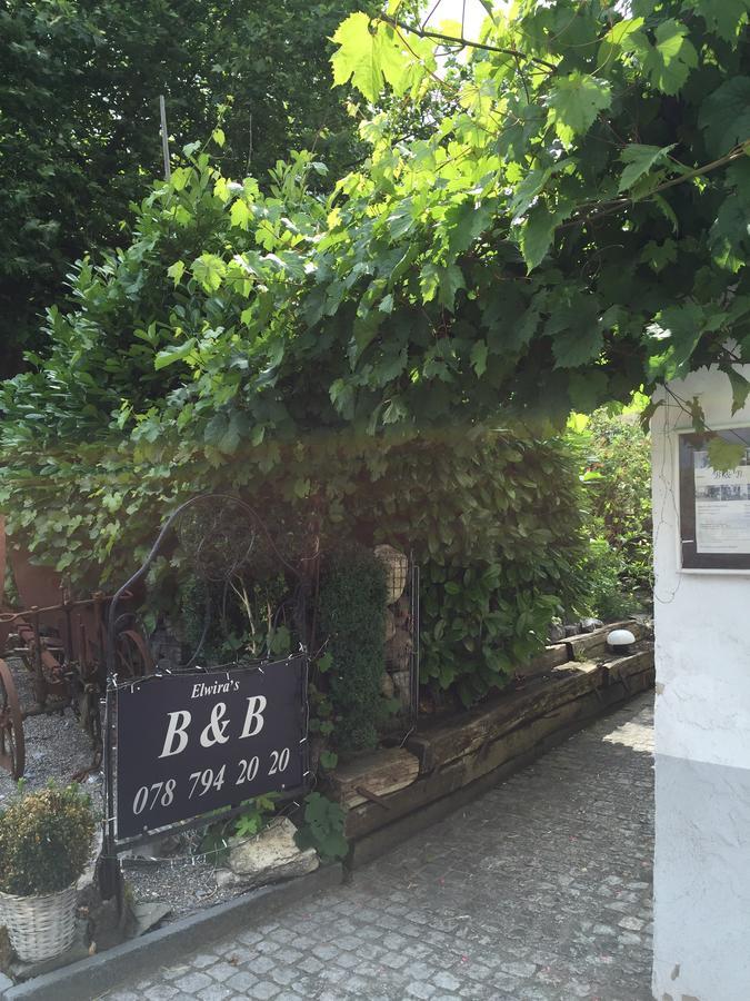 Airport Zuerich Elwiras B & B Lufingen Kültér fotó