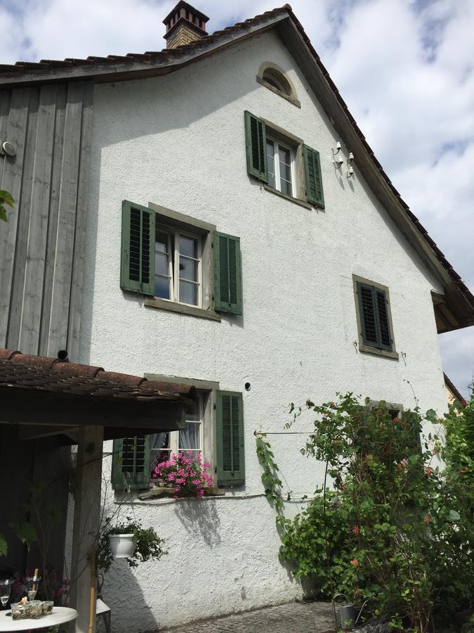Airport Zuerich Elwiras B & B Lufingen Kültér fotó