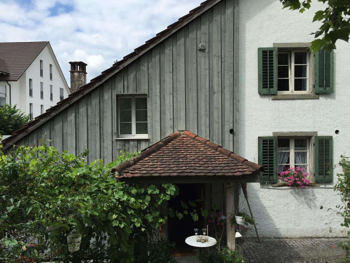 Airport Zuerich Elwiras B & B Lufingen Kültér fotó