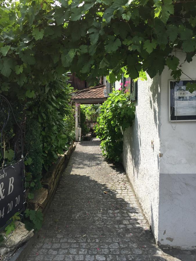 Airport Zuerich Elwiras B & B Lufingen Kültér fotó