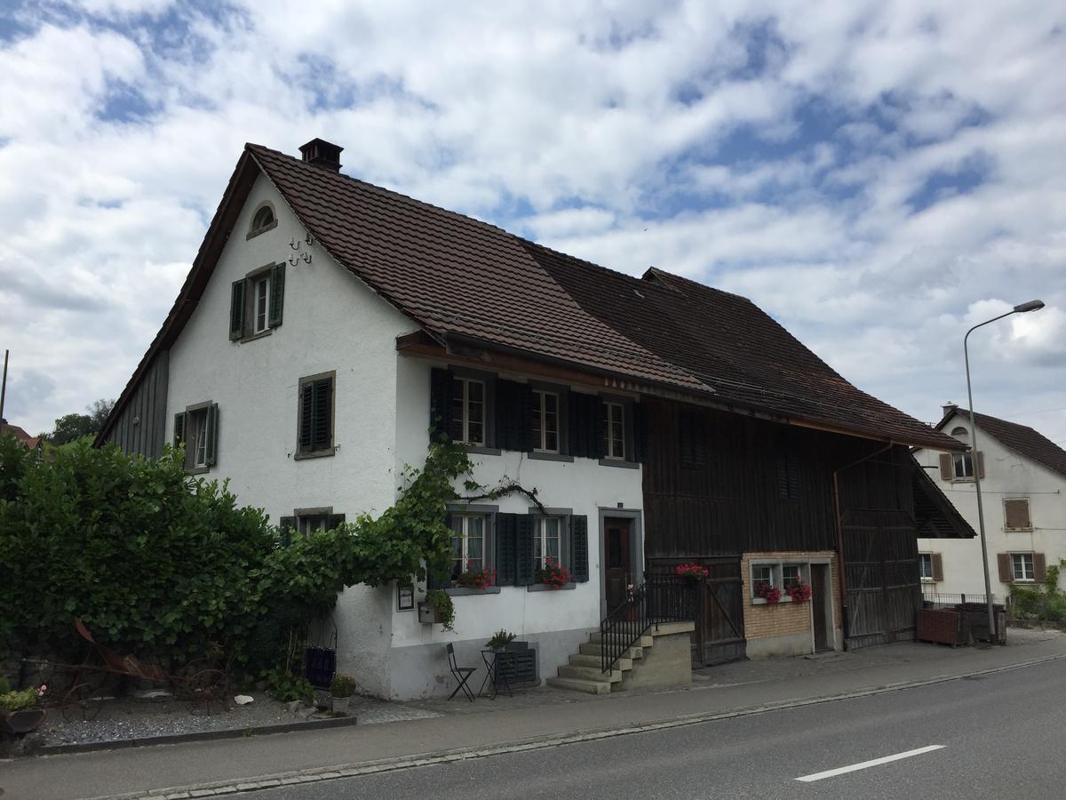 Airport Zuerich Elwiras B & B Lufingen Kültér fotó