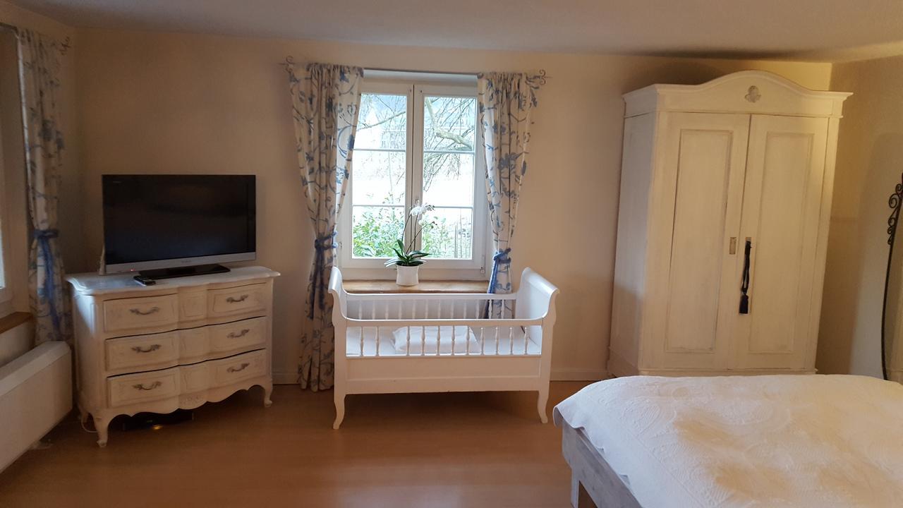 Airport Zuerich Elwiras B & B Lufingen Kültér fotó